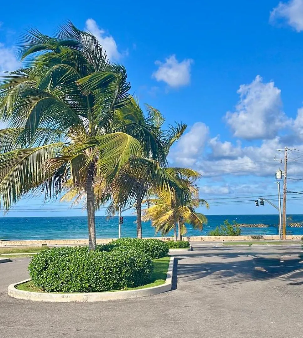 Sunny-Shore Hideaway Lucea