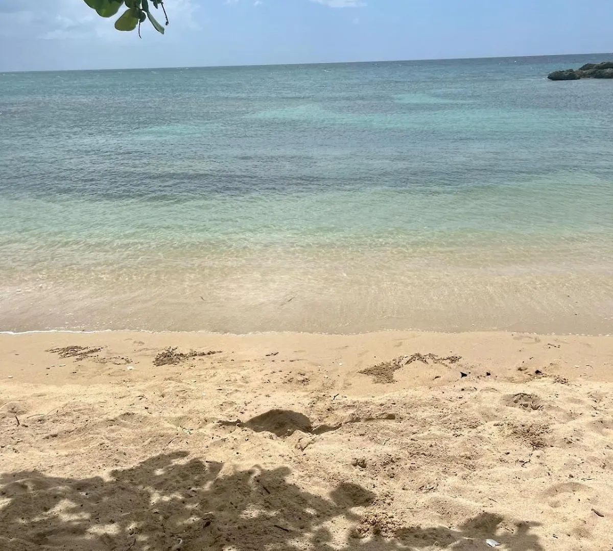 Casa vacanze Sunny-Shore Hideaway Lucea Giamaica